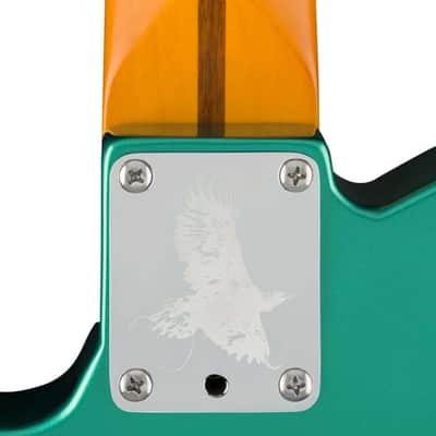 Fender Susan Tedeschi Signature Telecaster Electric Guitar, Rosewood Fingerboard, Aged Caribbean Mist image 6