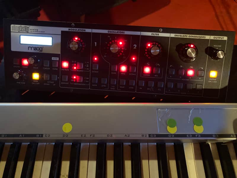 Moog Slim Phatty