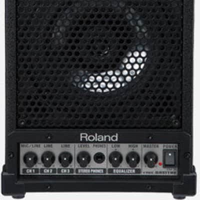 Roland CM-30 Cube Monitor 30W Powered Speaker image 1