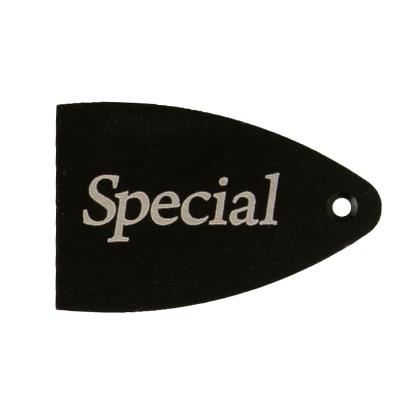 PRS Core / CE / S2 Etched Truss Rod Cover image 9