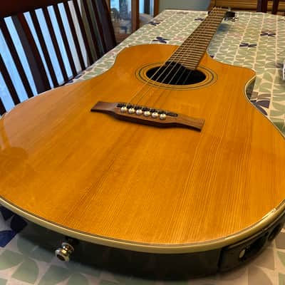 Line 6 Variax 700 Acoustic image 2