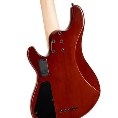 Cort GB-Fusion 5 Antique Brown Burst w/Gigbag image 9