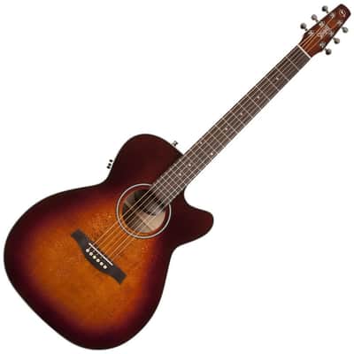 Seagull Performer Concert Hall CW QIT