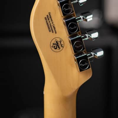 Fender Standard Telecaster Electric Guitar - Butterscotch Blonde image 6