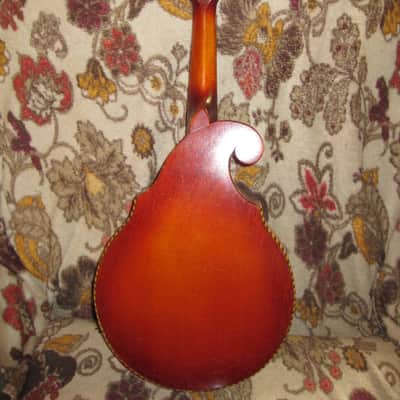Regal Reverse-Scroll Flatback Mandolin #107 (1914-1935) image 3