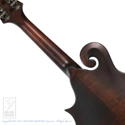 Eastman MD-314 image 6