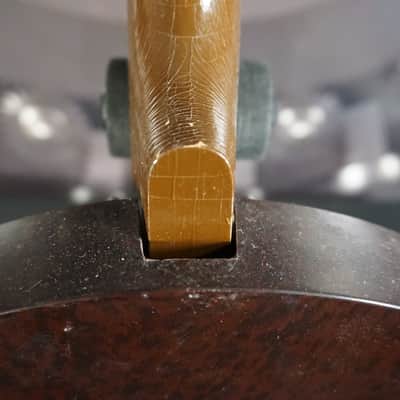 Barclay Tenor Banjo Project w/ Chipboard Case image 11