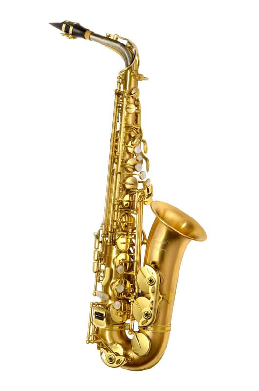 P. Mauriat LeBravo Intermediate Alto Sax Outfit - Gold Brass image 1