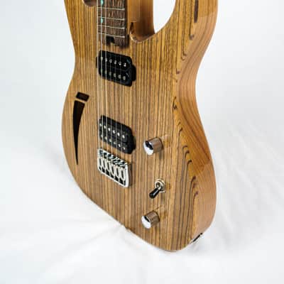 Swisher Handmade Machine Semi-Hollow Body 2024 - Zebrano image 13