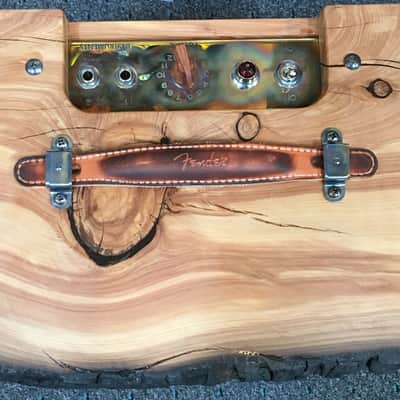Fender Custom Shop Forest Fire Juniper '57 Champ Guitar Amplifier - Only One Built image 3