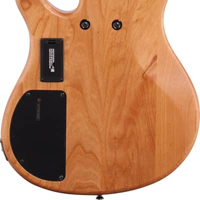 Yamaha TRBX605FM 5-String Bass Guitar, Rosewood Fingerboard, Natural Satin image 3