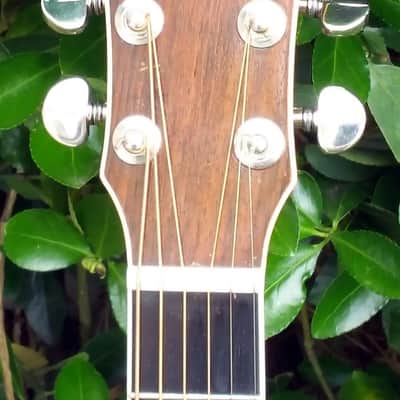 One-of-a-kind Mossman Guitar - 1980 Sunburst Great Plains Custom Built image 10