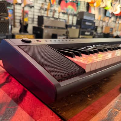 Yamaha Piaggero NP-11 Portable Piano 2010s - Black image 2