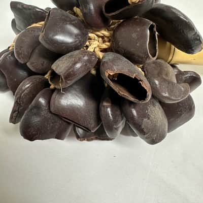 Seed Pod Nut Rattle Shaker, Sound Effect, 12" Bamboo Handle - EXCELLENT image 6