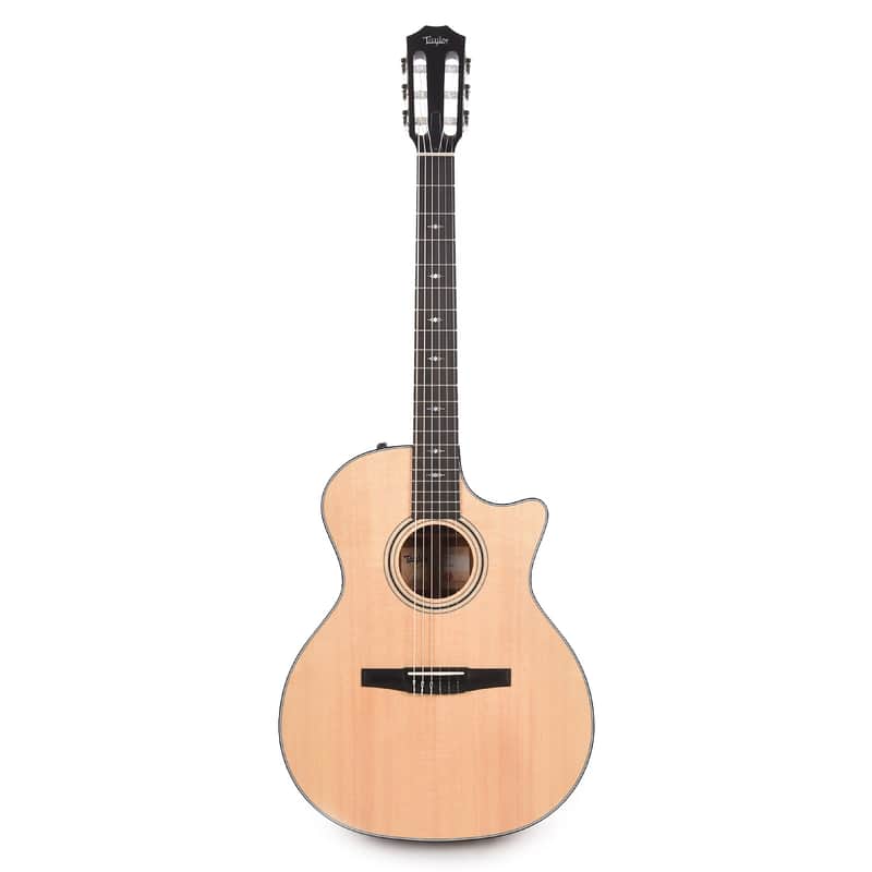 Taylor 314ce-N image 1
