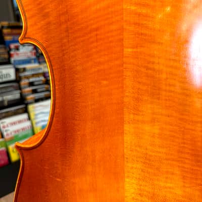 Student Cello: 1/2 Cello - Segue Concertino Plus 2016 - Oil varnish image 10