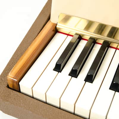 Fender Rhodes Piano Bass 1960s Brown Tolex owned by Billy Corgan image 4
