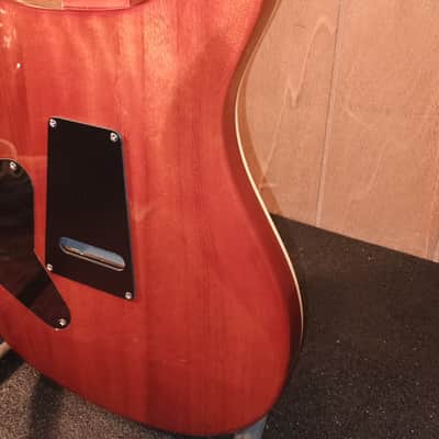 PRS SE Custom 24 Exotic Laurel Burl Limited Edition 2019 - 2020 - Vintage Sunburst image 5