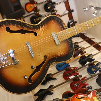 Lignatone Guitar image 11