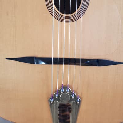 Moustache Thijs Van der Harst   Guitar image 4