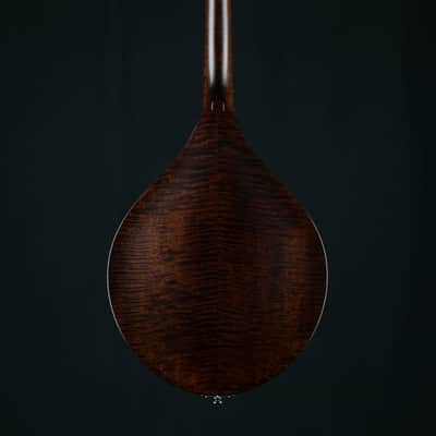 Collings MT Mandola Cream Gloss Top Adirondack Spruce and Flamed Maple NEW image 3