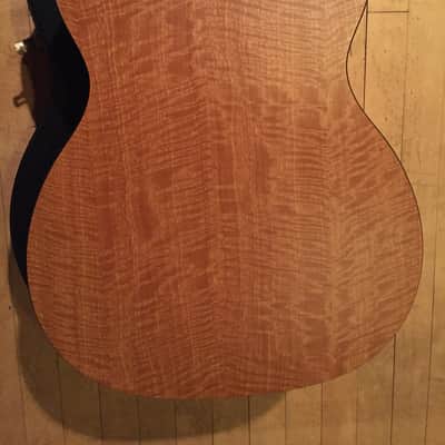 Martin XC1T Ellipse w/Fishman Ellipse Matrix Blend image 10