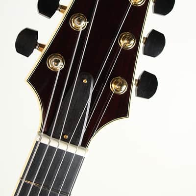 Kikuchi Guitars JF16 Imbuia Burl 2025 image 5