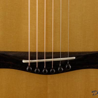 2019 Taran DS5, Macassar Ebony/Master Grade Swiss Moon Spruce image 10