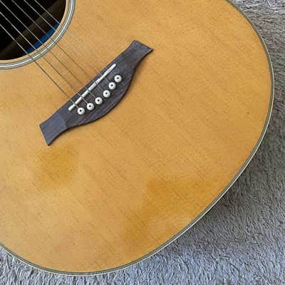 Sakura 40 Inch Acoustic Guitar, Mahogany Body and Neck, Rosewood Fingerboard image 14