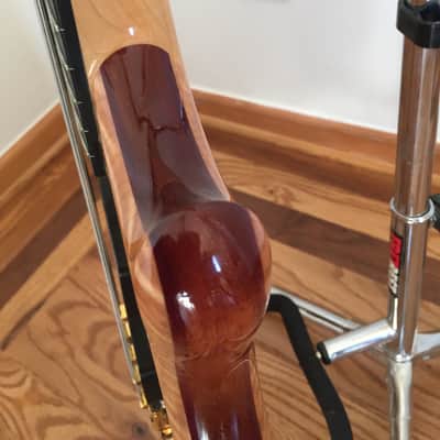 Alembic Mark King Signature Deluxe Balance Custom 5 String Bass 2000 Flame Maple LED's image 8