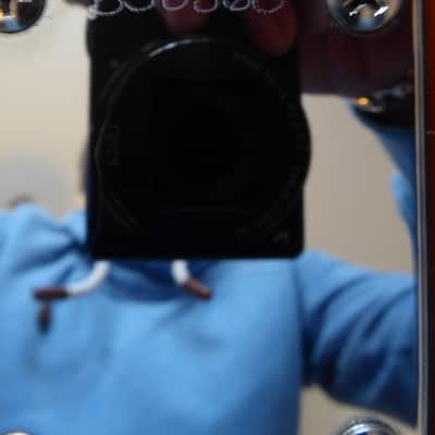 Alleva-Coppolo 1600 Limited Edition Bass 2007 image 5