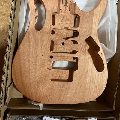 Open Box Leo Jaymz S V Style Electric Guitar DIY Project Kit Leo Jaymz image 2