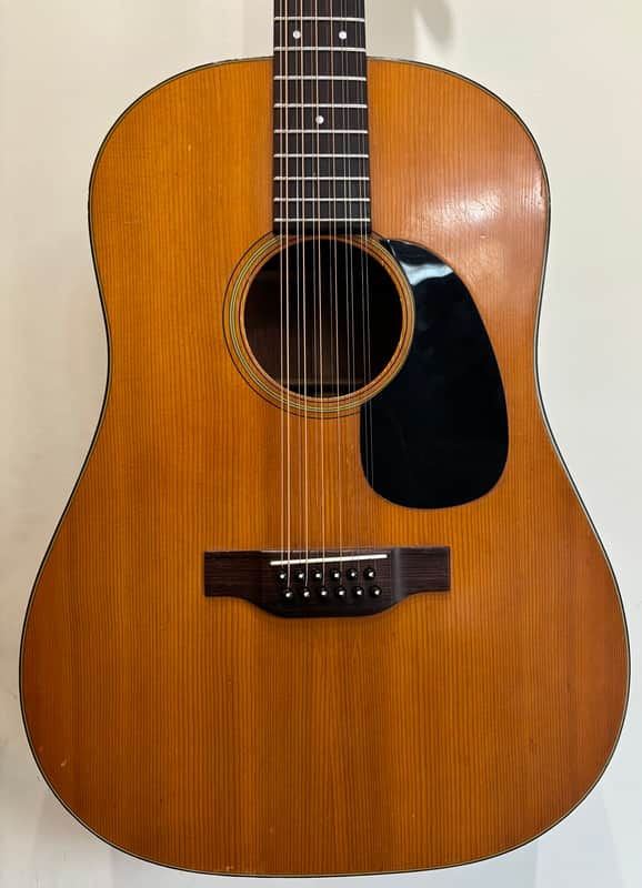 1969 Martin D12-20 & Hardshell Case image 1