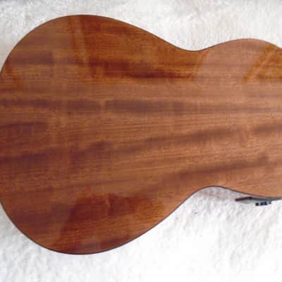 Ibanez ANV9SPE-NT Parlor Guitar natural, demo image 5