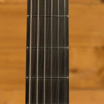 ESP LTD Mick Thomson Signature MT-I - Macassar Ebony - Obsidian Metallic image 6