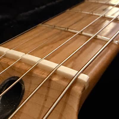 Fender Player Stratocaster with American Performer pickups/Roasted Maple Neck image 14
