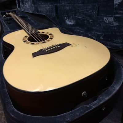 Ibanez A100ENT1201 w/ Case image 11
