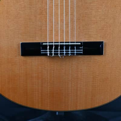 Ibanez GA6CE-AM Amber High Gloss Classical Guitar #718 image 5
