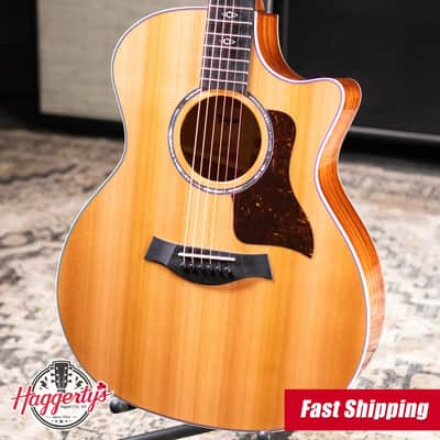 Taylor 514ce-L10 Acoustic/Electric Guitar*Fall Limited Edition