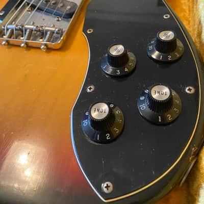 Fender Telecaster Custom with Rosewood Fretboard 1973  Sunburst image 6
