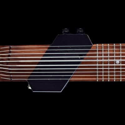 Chapman Stick 10 String Bild 1