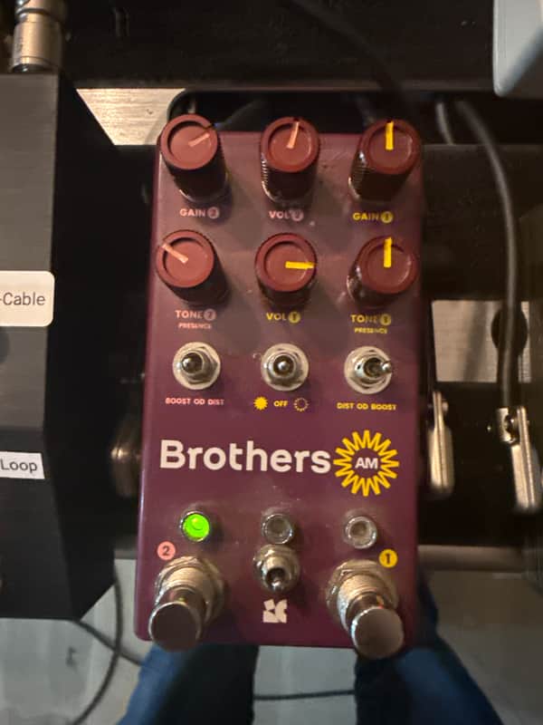 Chase Bliss Audio Brothers AM | Reverb