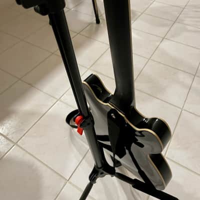 FireFly Semi Hollow 335 image 5