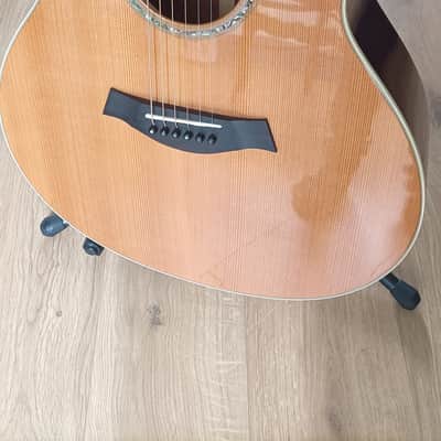 Taylor GS5 2006 - Naturel image 4