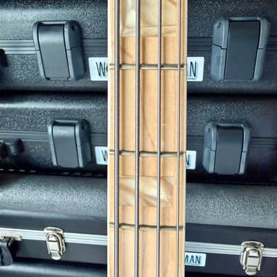 2022 Fender USA Geddy Lee with Tom Brantley pickups image 7