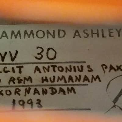 Hammond Ashley Associates Vertical Viola / Alto Violin 1993 image 14