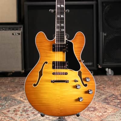 Eastman T486-GB Thinline Semi-hollowbody Electric Guitar - Goldburst with Hardshell Case image 3