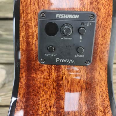 Breedlove Discovery Concert ED 12 St CE 2021 - Gloss Edgeburst Finish-READ DETAILS image 14