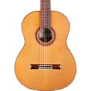 Cordoba C7 CD Classical Acoustic Guitar Cedar Top in Natural Finish