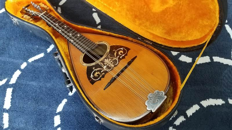Vega Lansing Special Vintage Bowlback Mandolin c.1903-1910 image 1